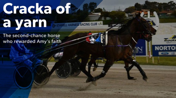 second-chance-cracka-of-a-horse-rewards-faith