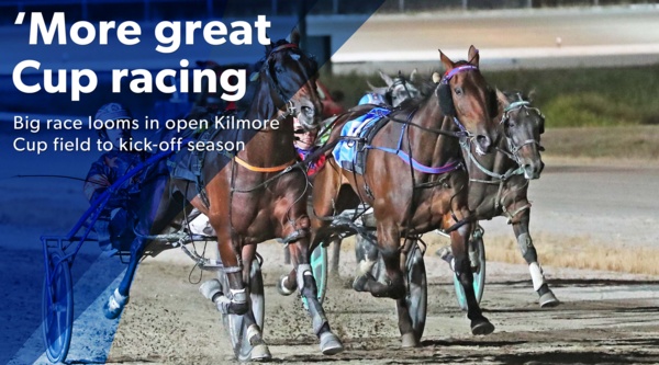 kilmore-cup-may-the-next-big-thing-stand-up