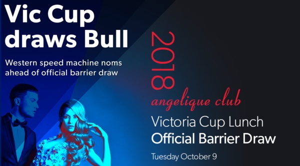victoria-cup-bull-into-ring-ahead-of-barrier-draw