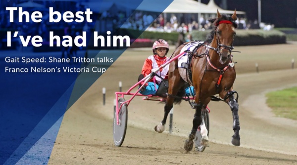 victoria-cup-nelsons-the-best-ive-had-him