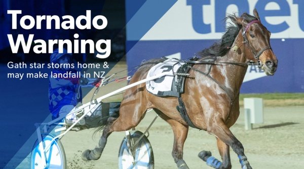 bill-collins-tornado-takes-group-1-trot
