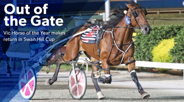 swan-hill-out-of-the-gate-early