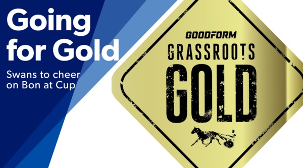 grassroots-gold-swans-to-cheer-on-bon