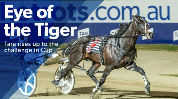 victoria-cup-tiger-tara-too-fast-too-tough
