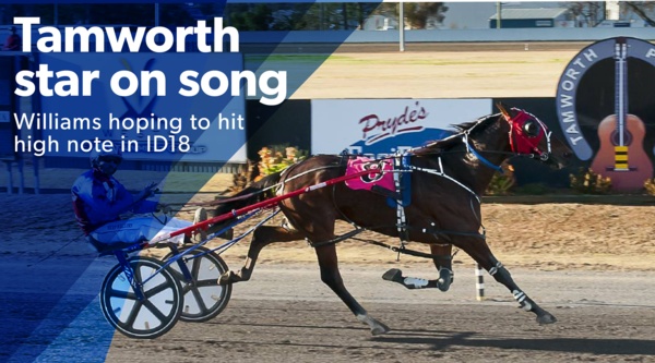 tab-id18-tamworth-trainer-dares-to-dream