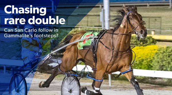 cranbourne-cup-winner-chasing-rare-double