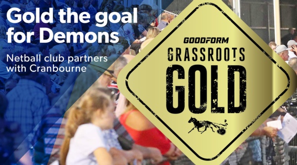 grassroots-gold-casey-demons-chasing-goals