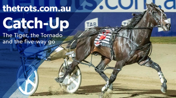 catch-up-the-tiger-and-the-tornado