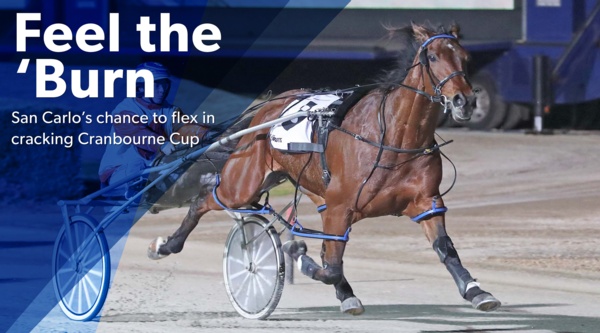 cranbourne-cup-san-carlos-chance-to-flex