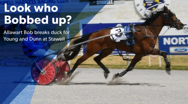 stawell-win-allawart-bob-breaks-duck