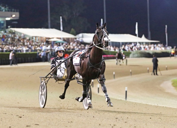 nz-ffa-draw-only-barrier-to-tiger