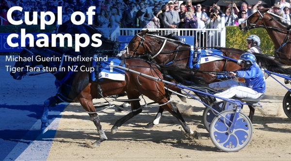 nz-cup-a-tale-of-two-champion-runs