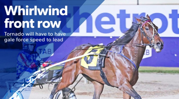 id18-trotting-wont-be-easy-for-favourite