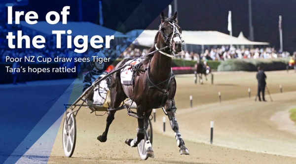 nz-cup-tiger-taras-fortunes-turns-south