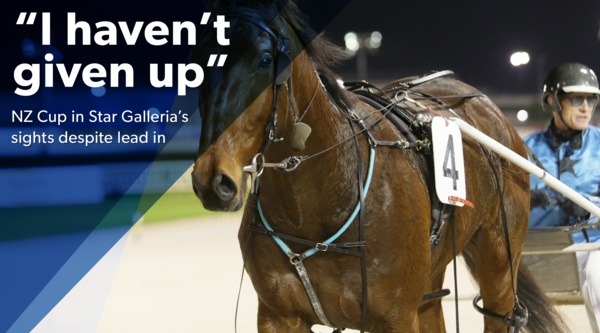 nz-cup-star-gallerias-nz-cup-tilt
