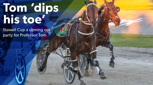 stawell-cup-professor-set-for-experiment