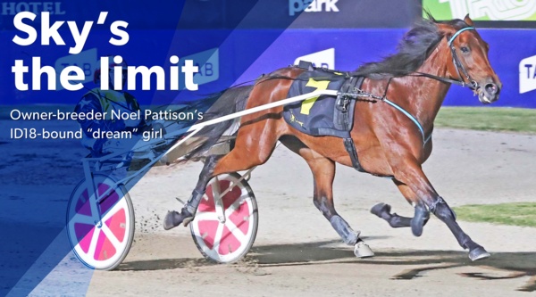 id18-trot-noel-pattison-sky-high
