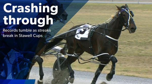 stawell-cup-gatescrasher-breaks-through