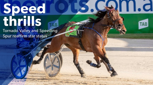 id18-news-star-trotters-reinforce-standing