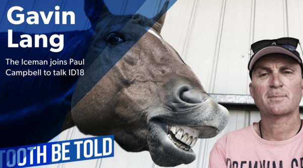 id18-interview-gavin-lang-on-tooth-be-told