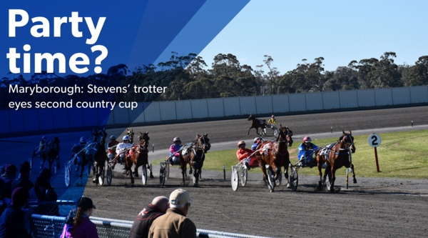maryborough-cup-can-the-xmas-party-start-early