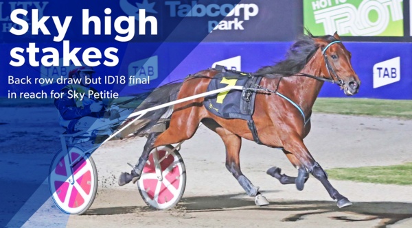 id18-news-sky-high-stakes-for-trotter