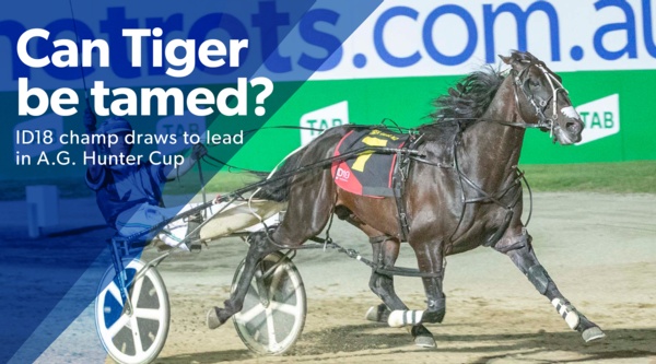 hunter-cup-latest-from-the-barrier-draw