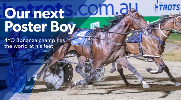 4yo-bonanza-poster-boy-prevails