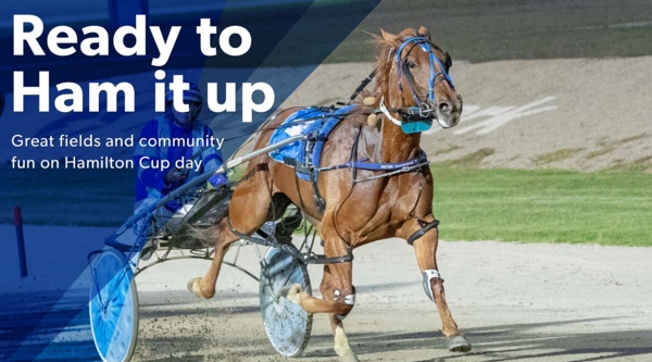 hamilton-cup-big-fields-and-community-fun