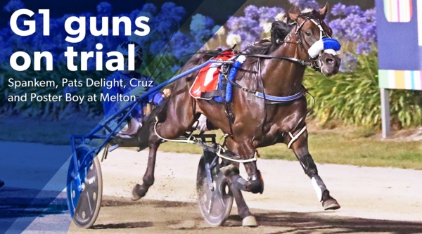 melton-trials-spankem-pats-delight-cruz-bromac