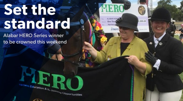 hero-series-final-held-amid-statewide-showcase