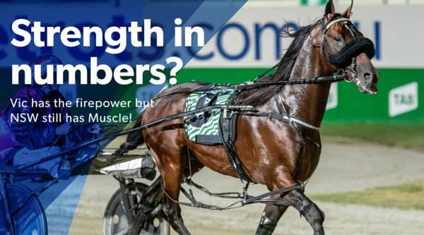 nsw-derby-vic-strength-in-numbers