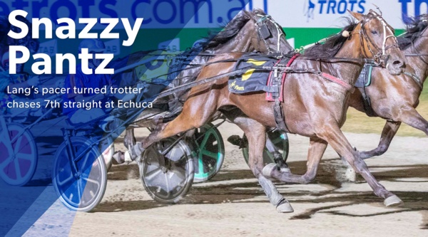 echuca-cups-pacer-chases-7th-straight-trot-win