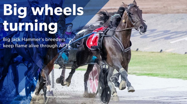 trotting-sale-big-result-for-breeders