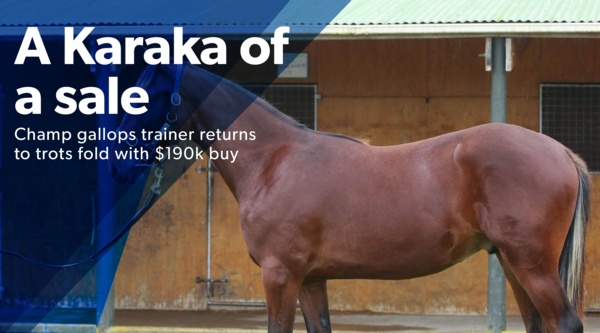 nz-sale-strong-results-at-karaka-sale