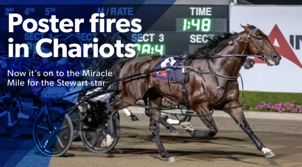 poster-boy-star-4yo-claims-chariots