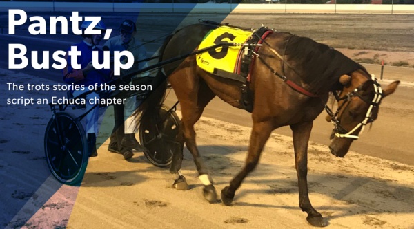 echuca-cups-pantzup-and-buster-waltz-on