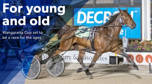wangaratta-cup-something-for-young-and-old