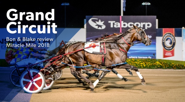 grand-circuit-diving-into-trottings-group-1s