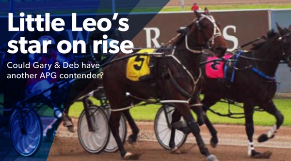 sapling-stakes-quinlan-2yo-chasing-second-win