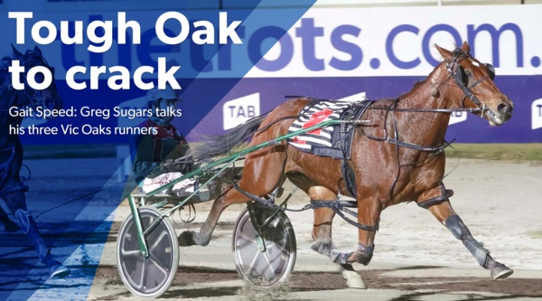 gait-speed-greg-sugars-on-vic-oaks-hopes