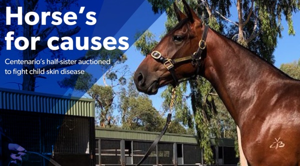 good-cause-centenarios-half-sis-auctioned