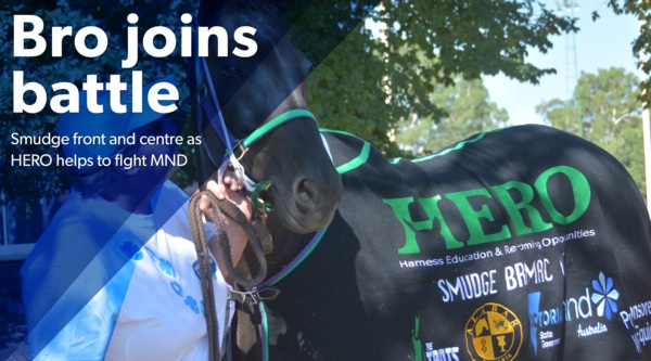 fight-mnd-hero-smudge-battles-disease