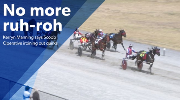 melton-preview-scoob-responding-for-kerryn