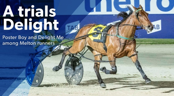 melton-trials-a-delight-as-talented-mare-returns