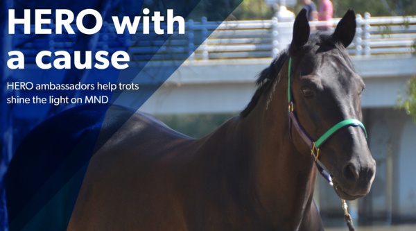 shep-tonight-hero-raises-mnd-awareness