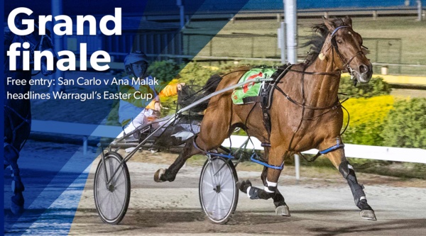 warragul-cup-all-the-eggs-in-one-basket