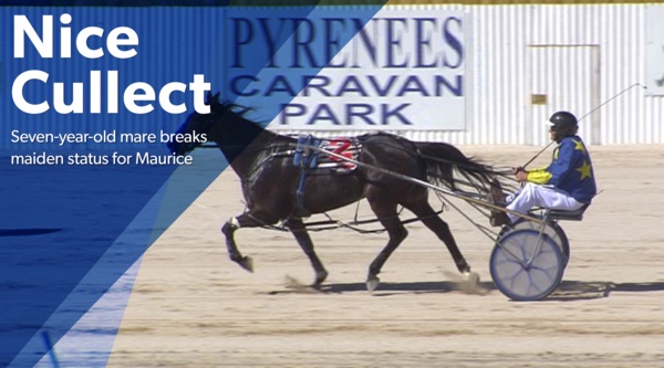 nice-cullect-7yo-mare-breaks-maiden-for-maurice
