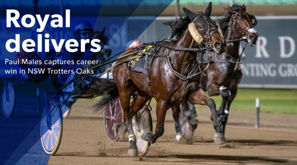 nsw-oaks-royal-milestone-for-males