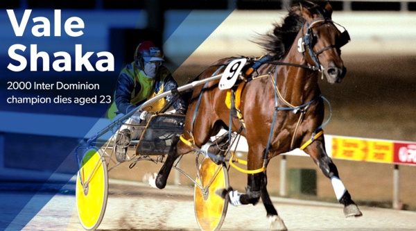vale-shakamaker-inter-dominion-champ-dies